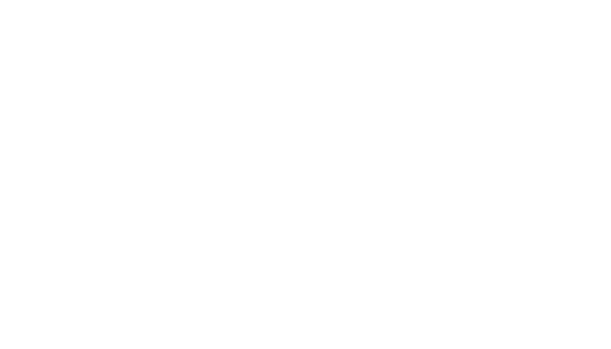 Logo Infisoft